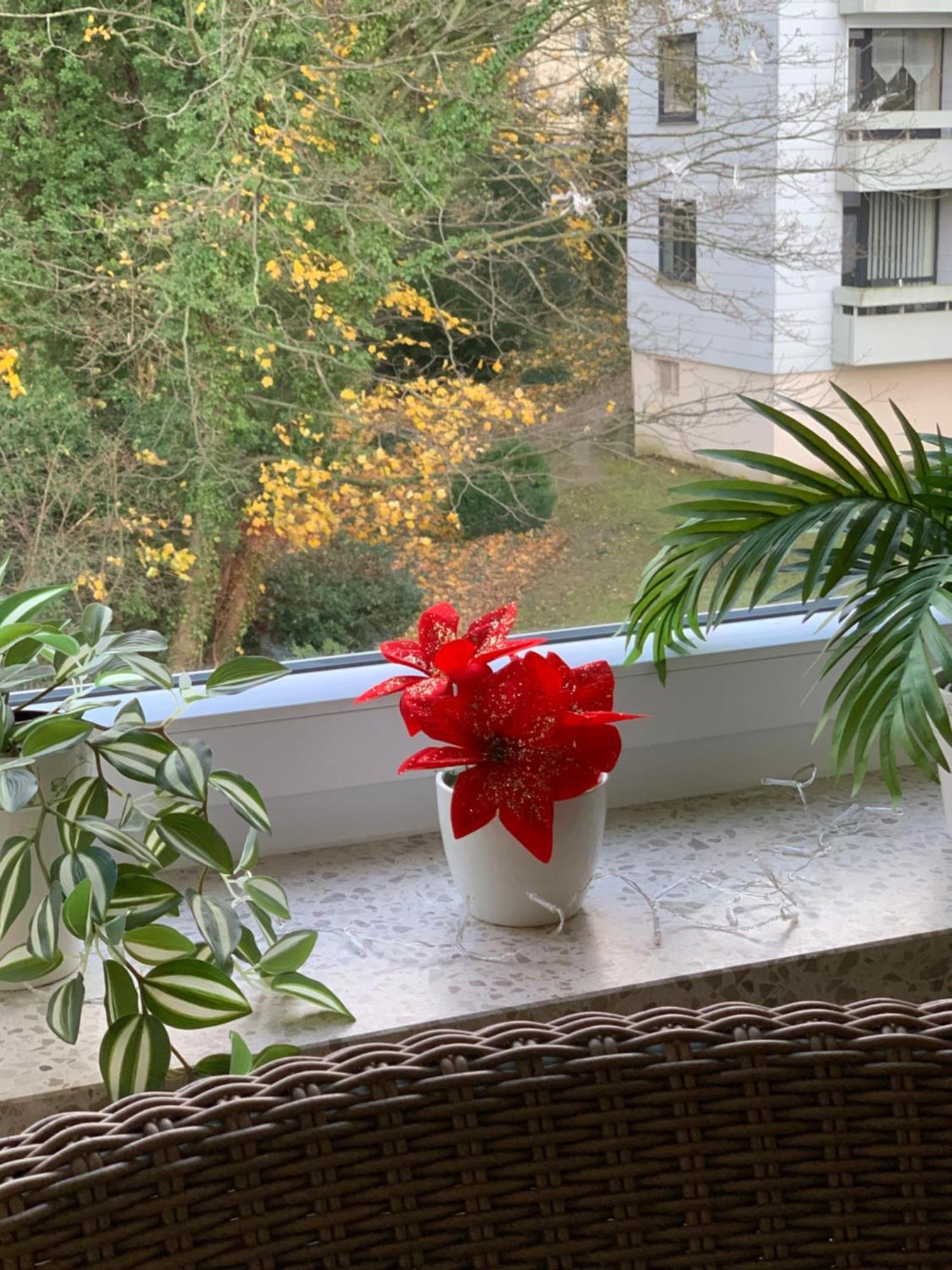 Ferienwohnung Doretta Bad Harzburg Dış mekan fotoğraf
